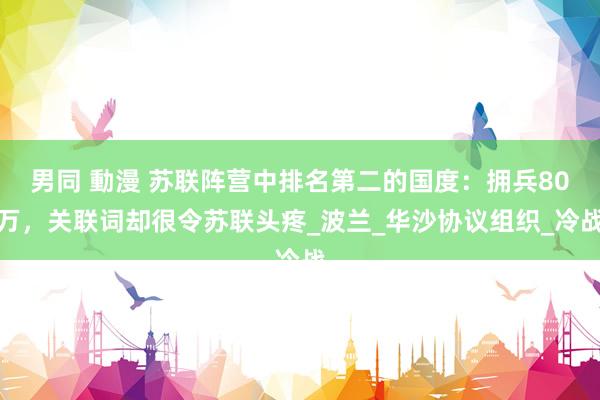 男同 動漫 苏联阵营中排名第二的国度：拥兵80万，关联词却很令苏联头疼_波兰_华沙协议组织_冷战