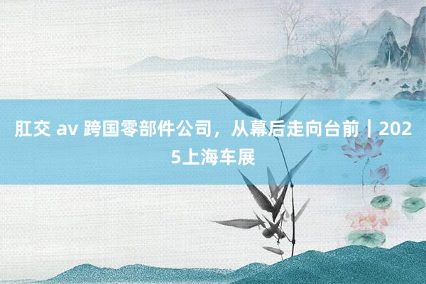 肛交 av 跨国零部件公司，从幕后走向台前｜2025上海车展